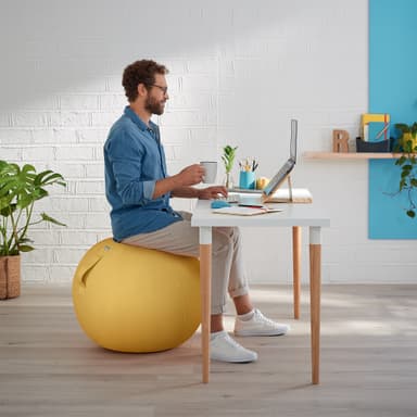 Leitz Ergo Cosy aktiv balanseball