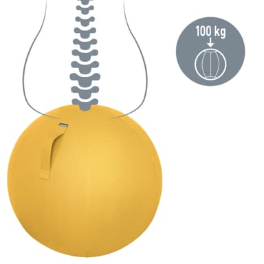 Leitz Ergo Cosy aktiv balanseball