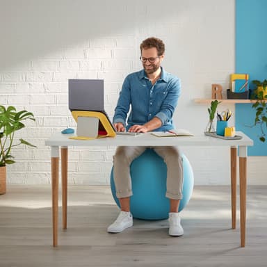 Leitz Ergo Cosy aktiv balanseball