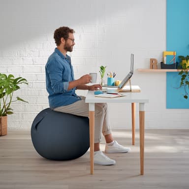 Leitz Ergo Cosy aktiv balanseball