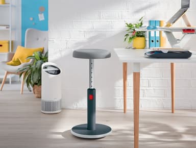 Leitz Ergo Cosy Active Sit Stand balansestol