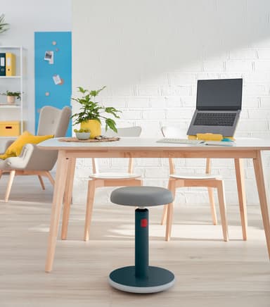 Leitz Ergo Cosy Active Sit Stand balansestol