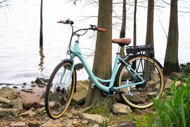 Vaya Classic elsykkel 735242 (grå)