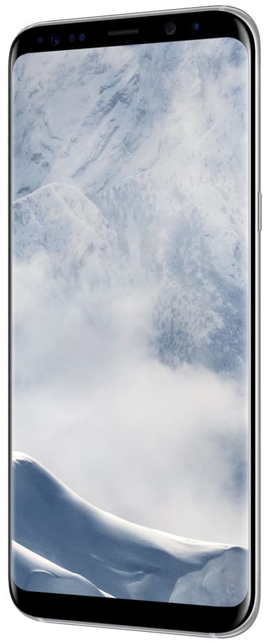 Samsung Galaxy S8 Plus smarttelefon (sølv)