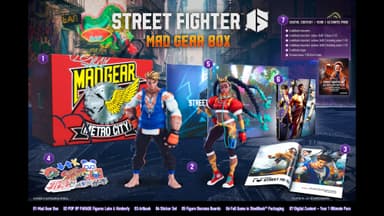 Street Fighter 6 - Collector s Edition (PS4)