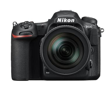 Nikon D500  16-80 f/2.8-4.0 VR