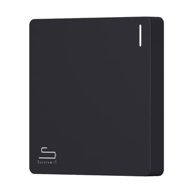 Survive iT City 4000mAh powerbank (grå)