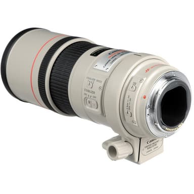 Canon EF 300mm f/4.0L IS USM