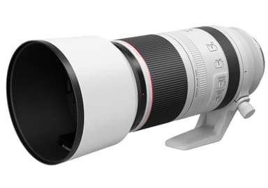 Canon RF 100-500mm f/4.5-7.1L IS USM