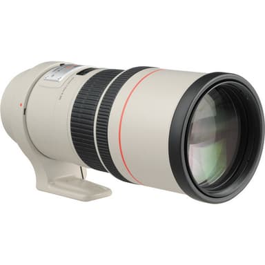 Canon EF 300mm f/4.0L IS USM