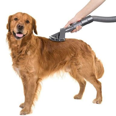 Head with Quick Release-brush that sucks up pet hair for Dyson V7,V8,V10,V11,V15