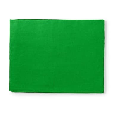 Nedis Photo Studio Backdrop | 2,95 x 2,95 m | Grøn