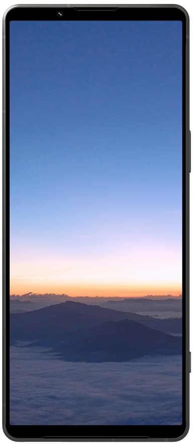 Sony Xperia 1 V 5G smarttelefon 12/256GB (grønn)