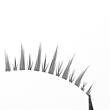 Lösögonfransar Natural Look 5 par Sort