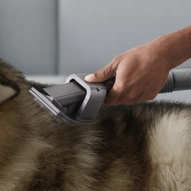 Dyson kjæledyrpleiesett 972205-01