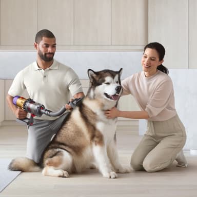 Dyson kjæledyrpleiesett 972205-01