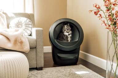 Litter robot norge shop