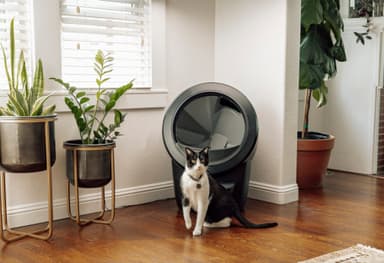 Whisker Litter-Robot 4 Automatic Cat Litter Box - Svart