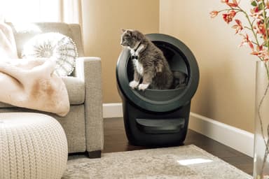 Whisker Litter-Robot 4 Automatic Cat Litter Box - Svart