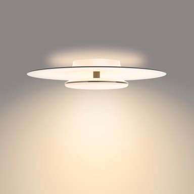 Philips Garnet taklampe 40W