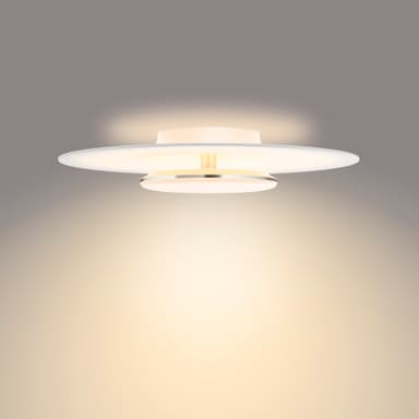 Philips Garnet taklampe 40W
