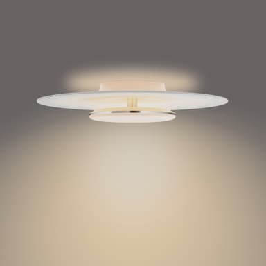 Philips Garnet taklampe 40W