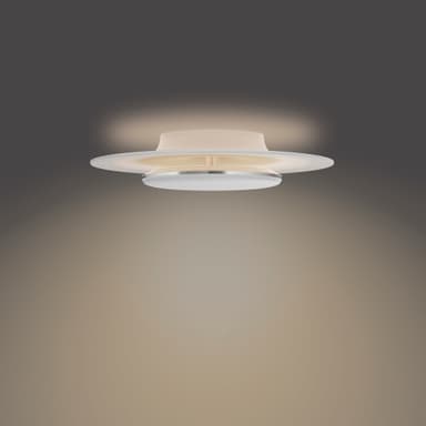 Philips Garnet taklampe 30W