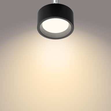 Philips Bracia spotlys 5,5 W