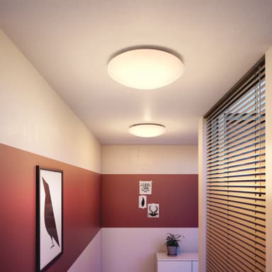 Philips Suede Plafond 24W