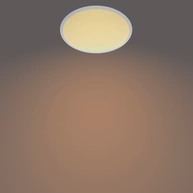 Philips Cavanal taklampe 12W