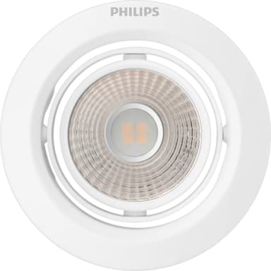 Philips Pomeron Ceiling spotlys 3W