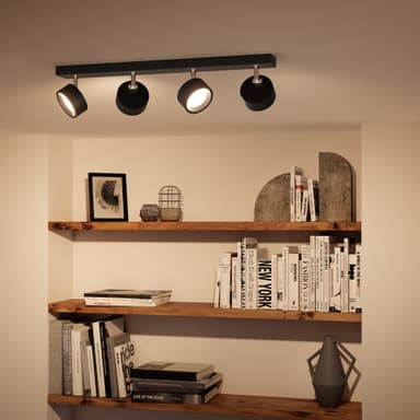 Philips Bracia spotlys 22 W