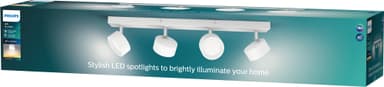 Philips Bracia spotlys 22 W
