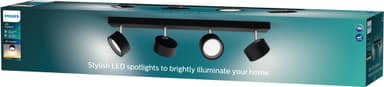 Philips Bracia spotlys 22 W