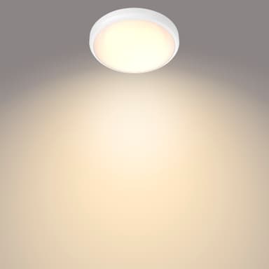 Philips Doris taklampe 6W