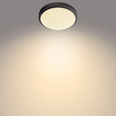 Philips Doris taklampe 6W