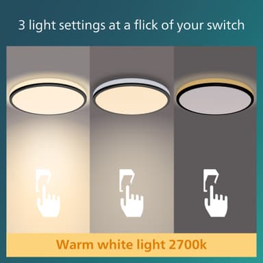 Philips Ozziet taklys 36W (sort)