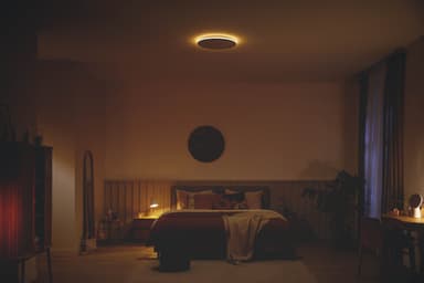 Philips Ozziet taklys 36W (sort)