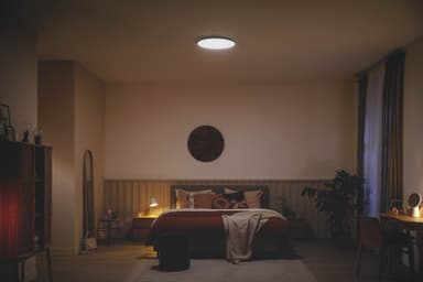 Philips Ozziet taklys 36W (sort)