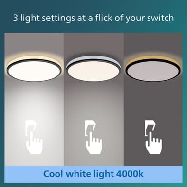 Philips Ozziet taklys 36W (sort)