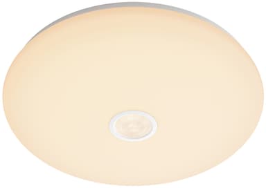 Philips Mauve taklampe 16W