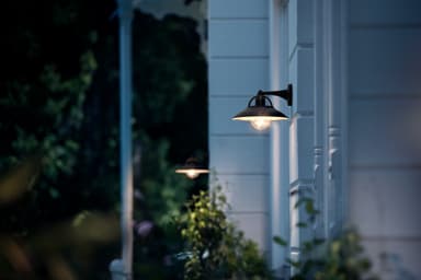 Philips Cormorant vegglampe 42W E27