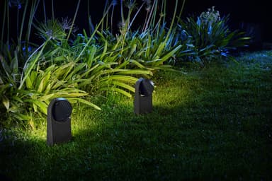 Philips Mimosa sokkellampe 7W