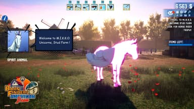 BarnFinders: Amerykan Dream - PC Windows