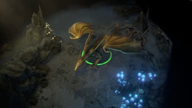 Pathfinder: Wrath of the Righteous - Enhanced Edition - PC Windows,Mac