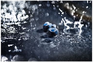 Jabra Elite 8 Active helt trådløse in-ear hodetelefoner (navy)