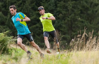 Garmin Fenix 3 HR treningsklokke (sølv)