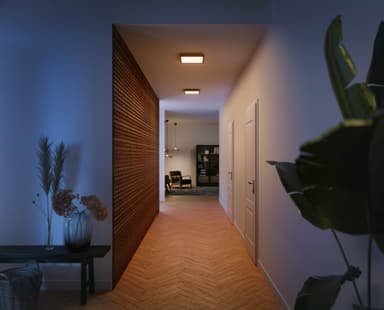 Philips Hue Aurelle Panel SQ Black 19W
