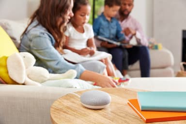 Google Home Mini - norsk (chalk)