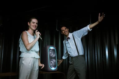 Sony A/V partyhøyttaler GTKXB60 (sort)